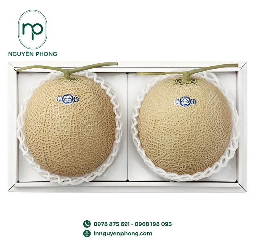 mau-hop-giay-dung-dua-luoi-dep-5